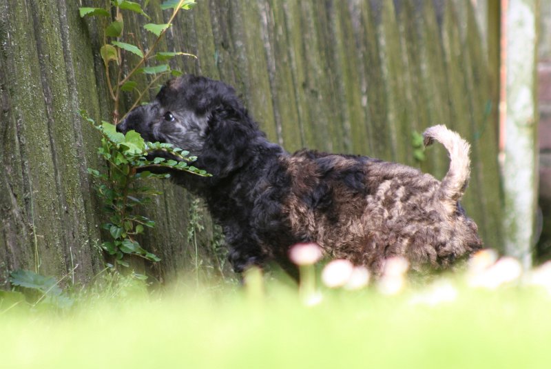 Arc-en-ciel Antares 2009-06-30 (10).JPG